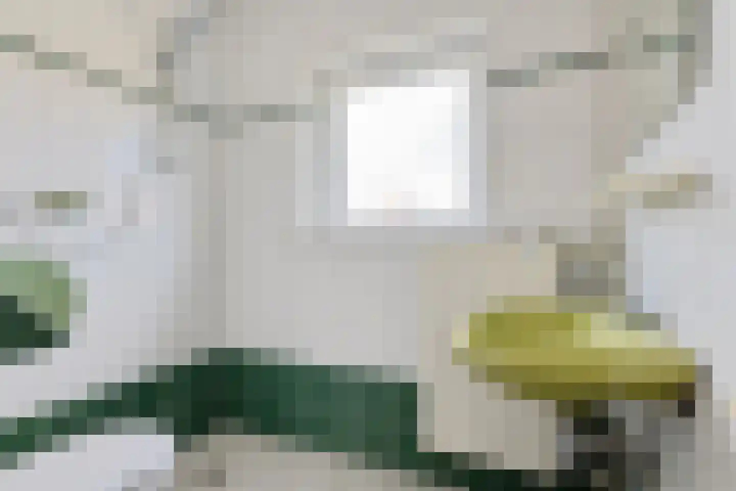 Tulpstraat 9 Noordwijk thumbnail 17