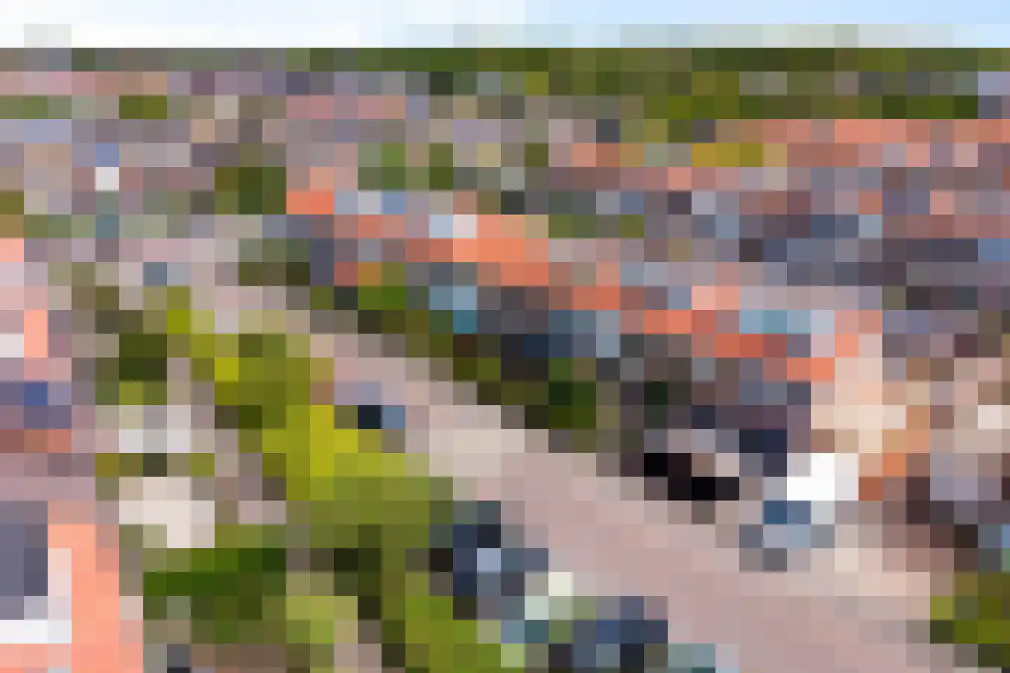 Tulpstraat 9 Noordwijk thumbnail 32