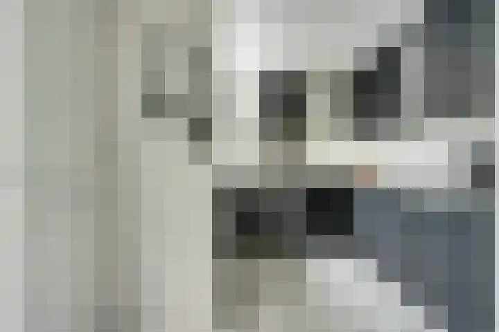 Tulpstraat 9 's-Gravendeel thumbnail 11