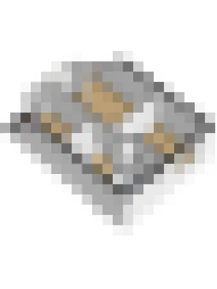 Tulpstraat 9 's-Gravendeel thumbnail 34