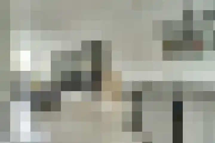 Tulpstraat 9 's-Gravendeel thumbnail 9