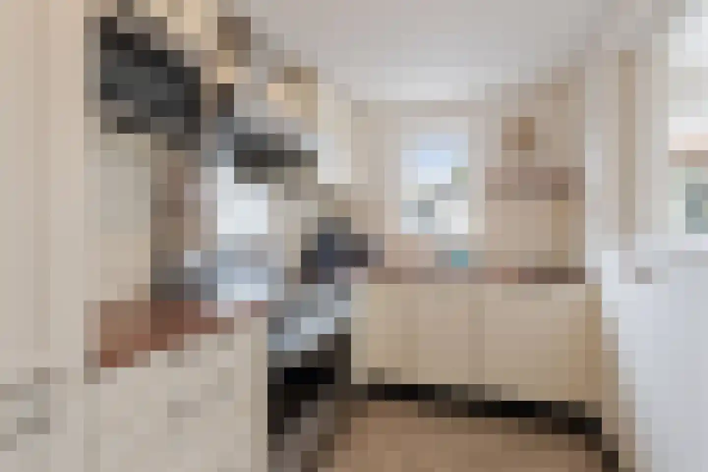 Tulpstraat 9 Sint-Oedenrode thumbnail 15
