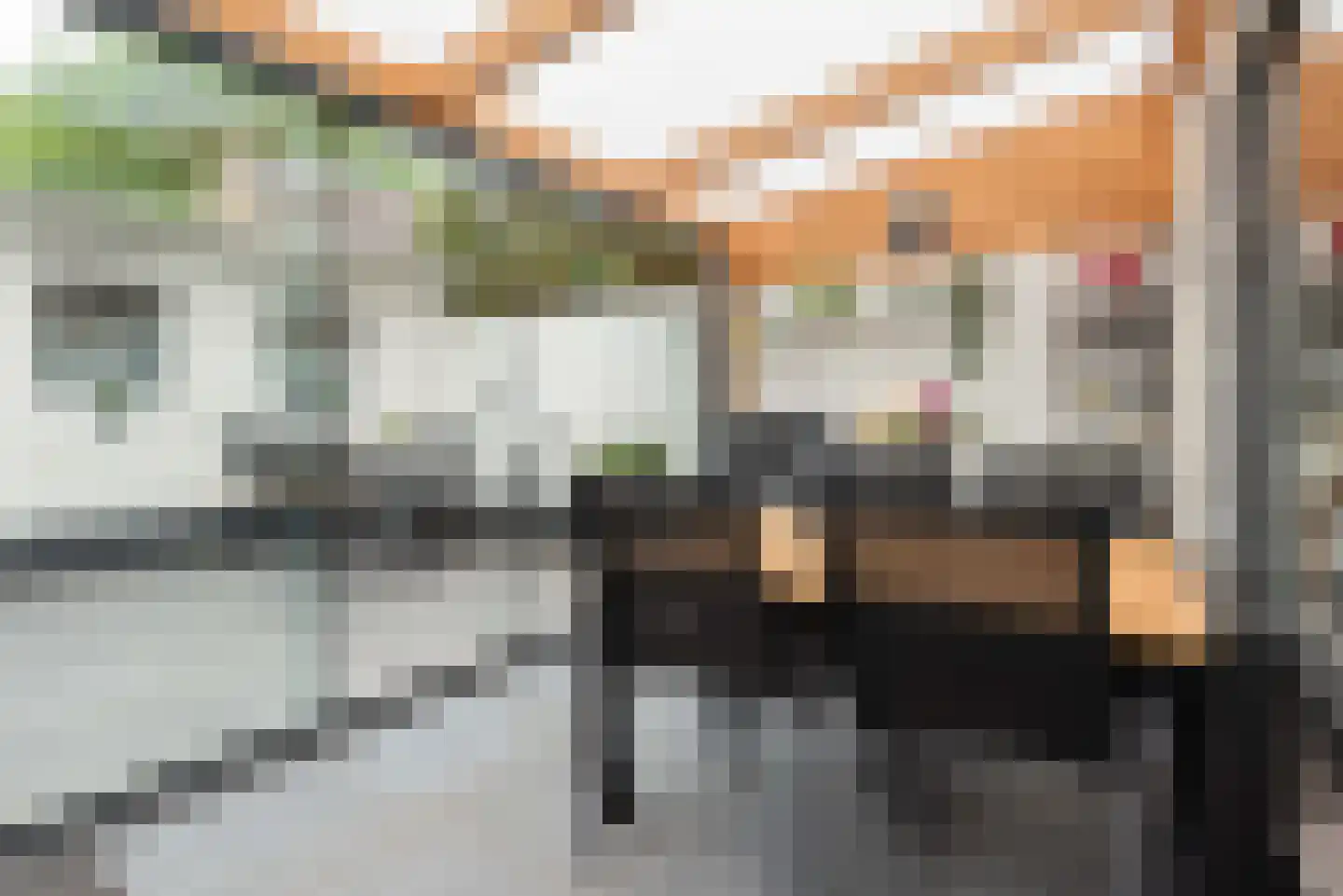 Tulpstraat 9 Sint-Oedenrode thumbnail 21