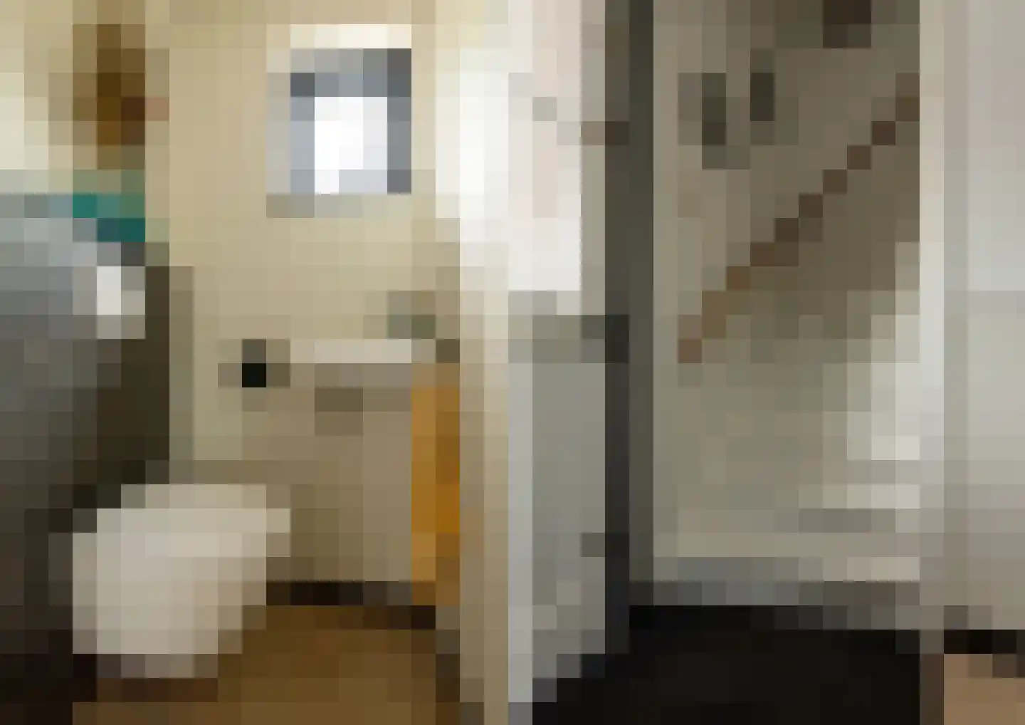 Tulpstraat 9 Sint-Oedenrode thumbnail 25