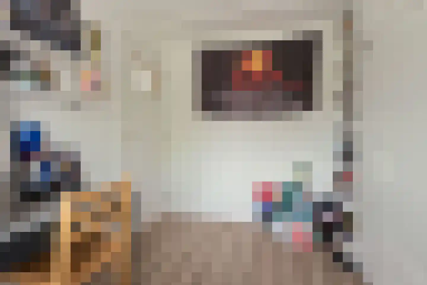 Tulpstraat 9 Sint-Oedenrode thumbnail 31