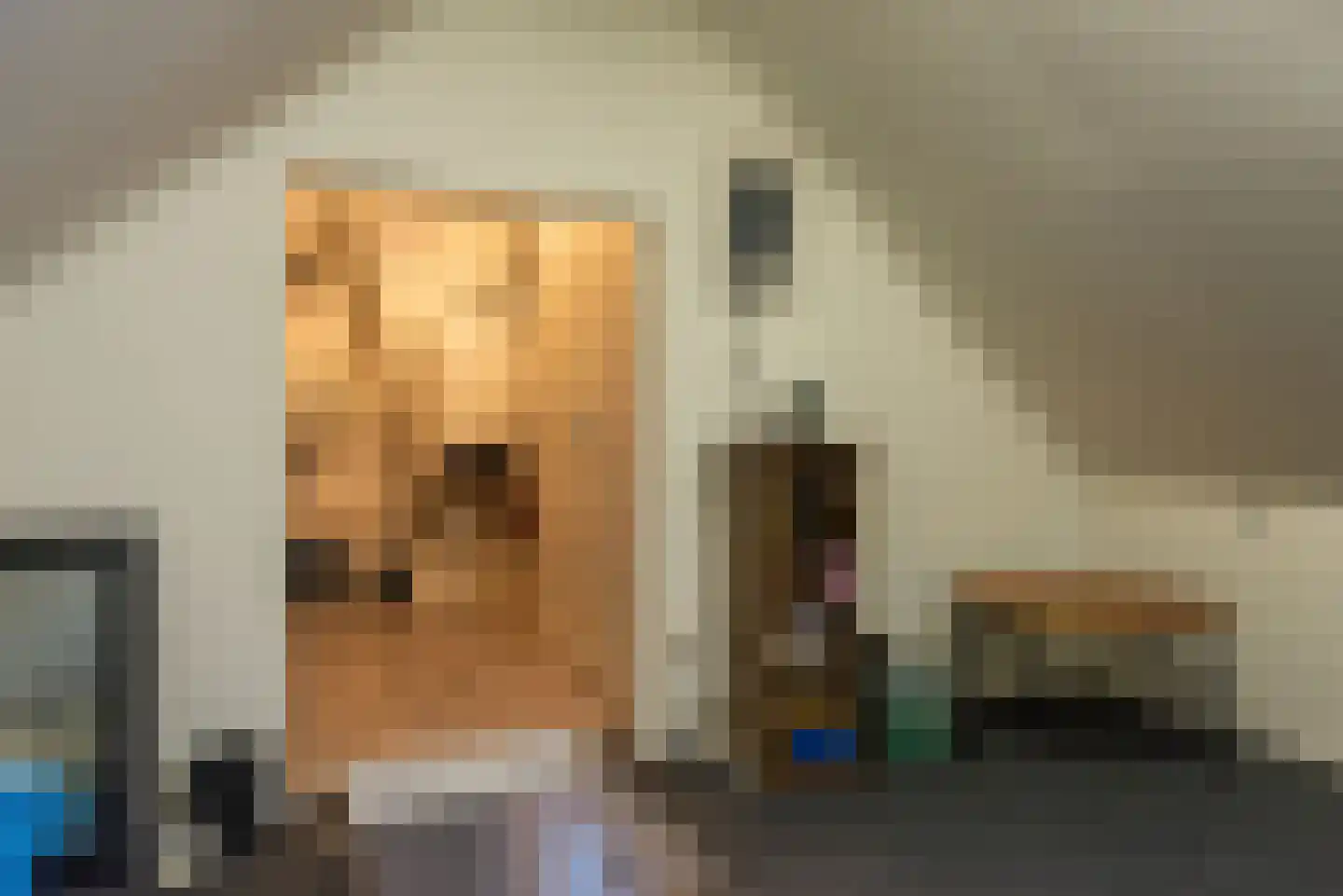 Tulpstraat 9 Sint-Oedenrode thumbnail 36