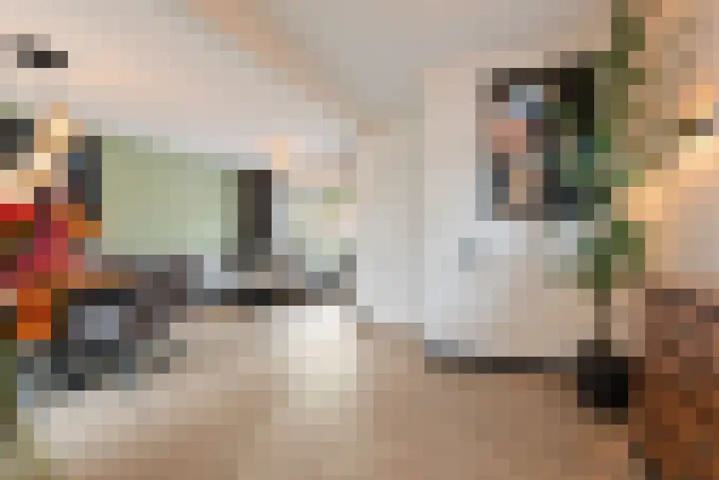 Tulpstraat 9 Sint-Oedenrode thumbnail 9