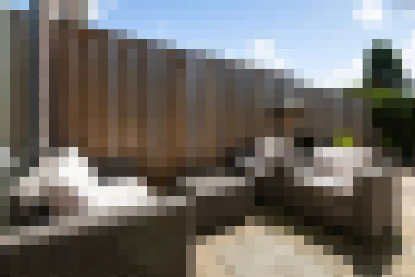 Tulpstraat 9 Woerden thumbnail 15