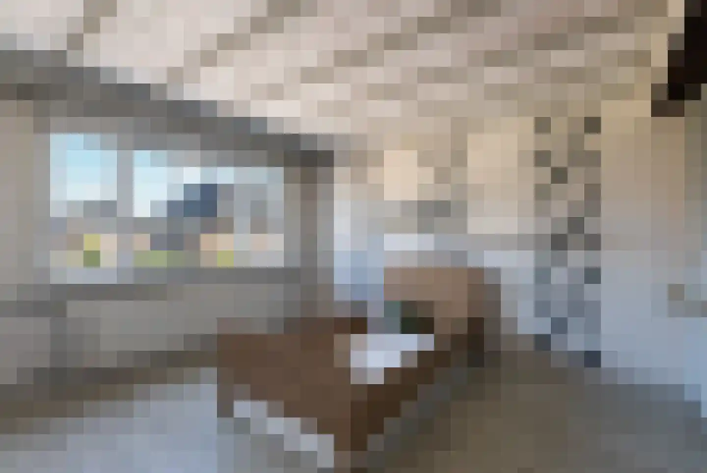 Tulpstraat 9 Woerden thumbnail 21