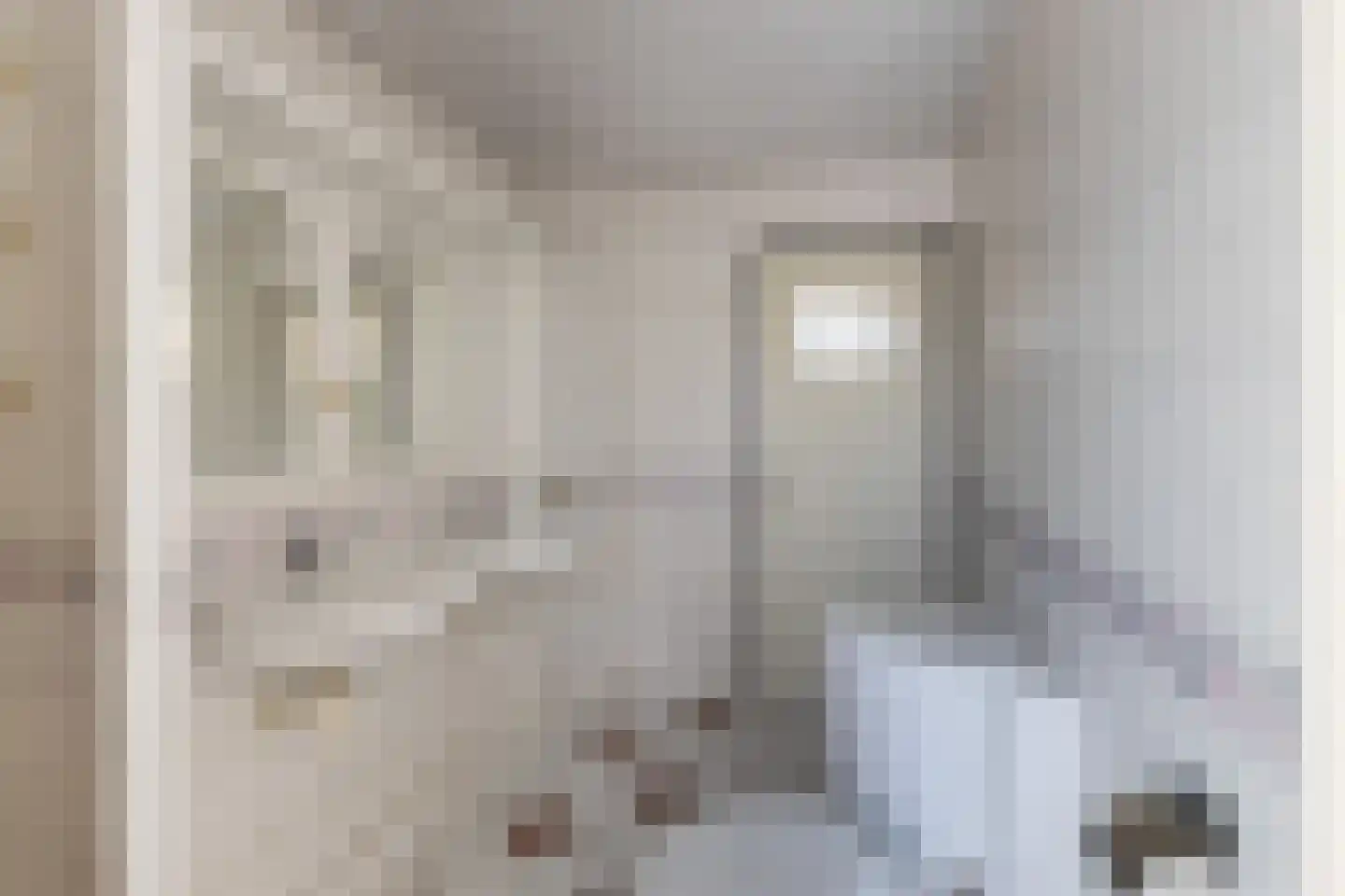 Tulpstraat 9 Woerden thumbnail 25