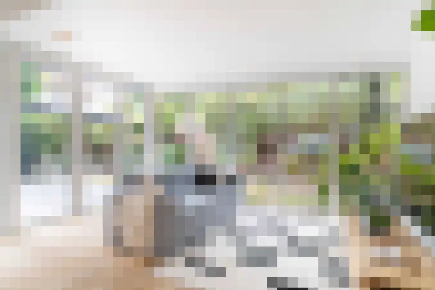 Tulpweg 1 Wassenaar thumbnail 13