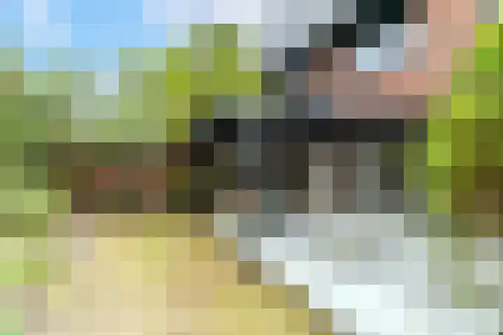 Tulpweg 1 Wassenaar thumbnail 15