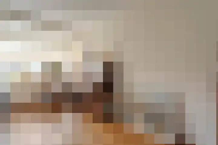 Tumelers 37 Den Ham thumbnail 12