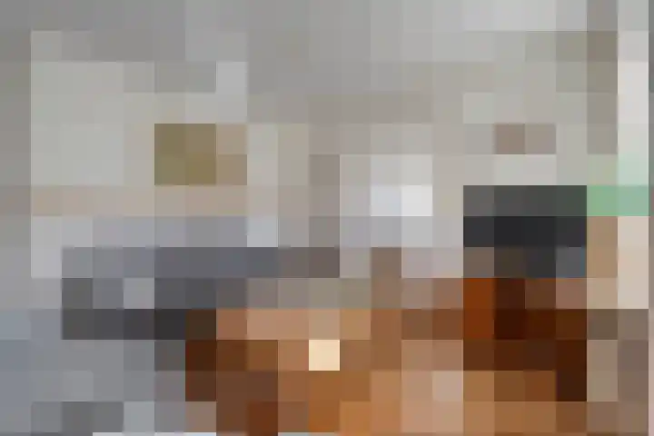 Tumelers 37 Den Ham thumbnail 14