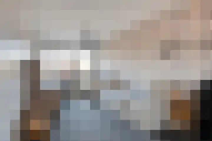 Tumelers 37 Den Ham thumbnail 25