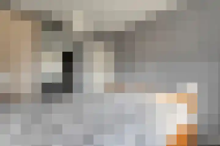 Tumelers 37 Den Ham thumbnail 28