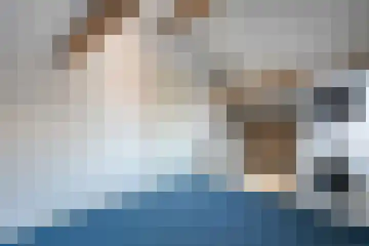 Tumelers 37 Den Ham thumbnail 37