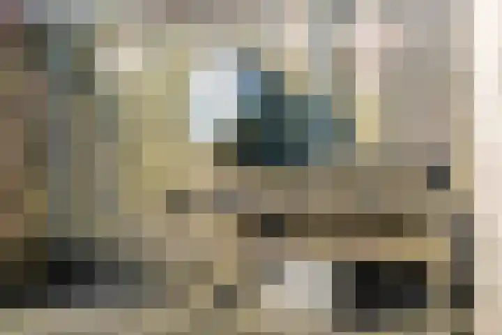 Tumelers 37 Den Ham thumbnail 43