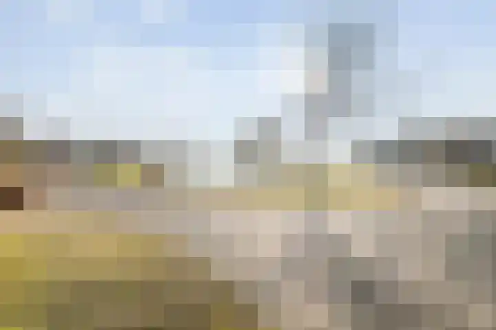 Tumelers 37 Den Ham thumbnail 5