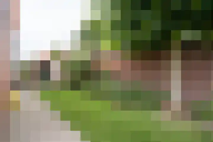 Tungeler Dorpsstraat 38 Weert thumbnail 43