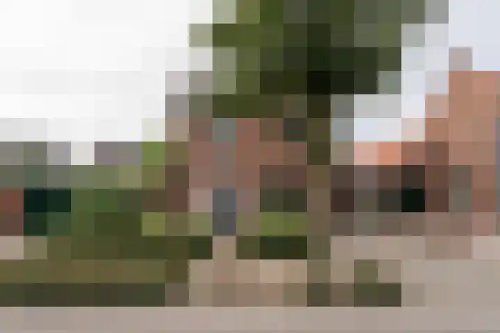 Tungeler Dorpsstraat 38 Weert thumbnail 48