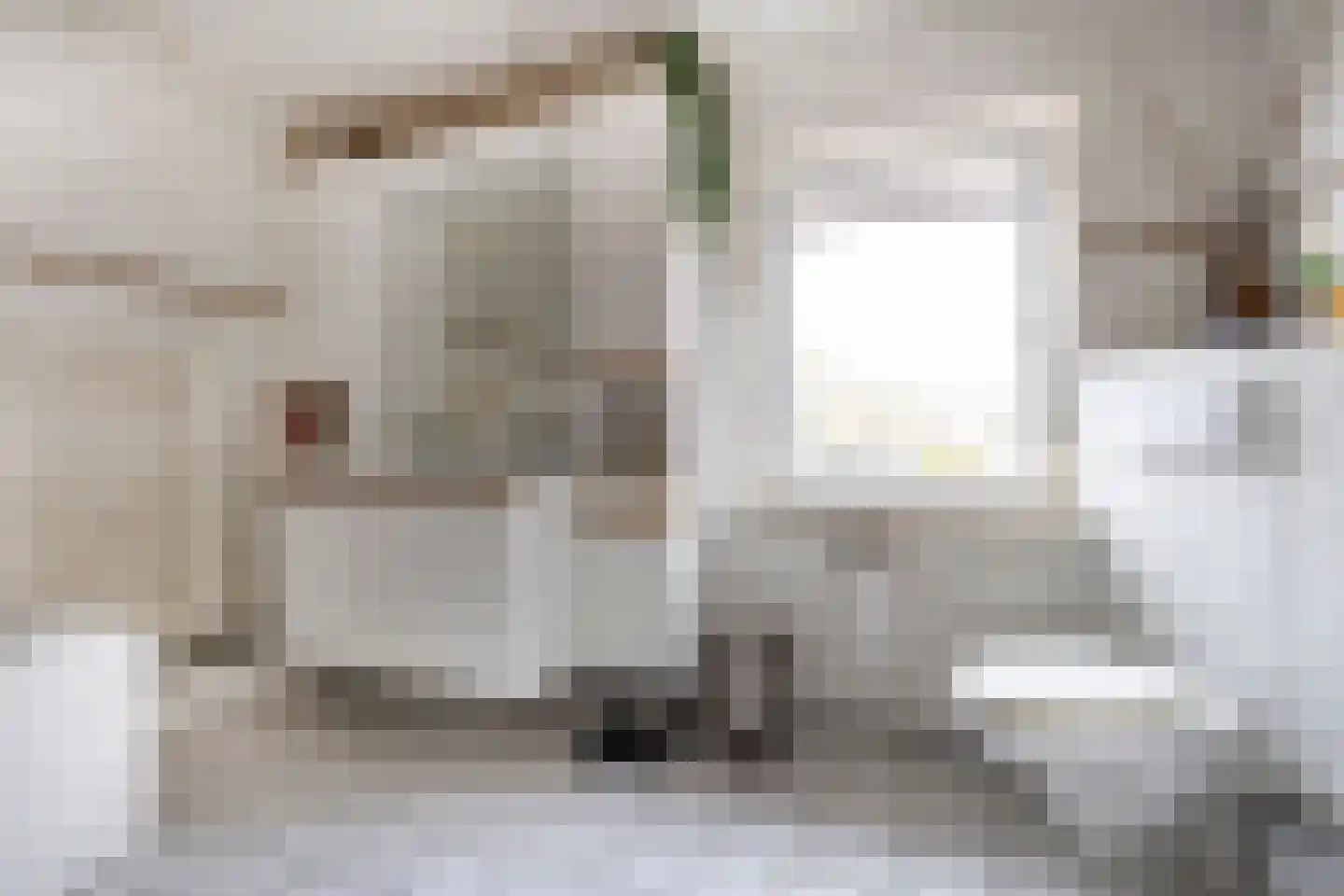 Tungeler Dorpsstraat 41 Weert thumbnail 20