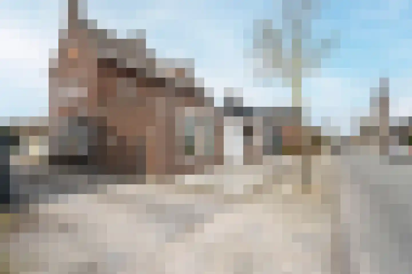 Tungeler Dorpsstraat 41 Weert thumbnail 45