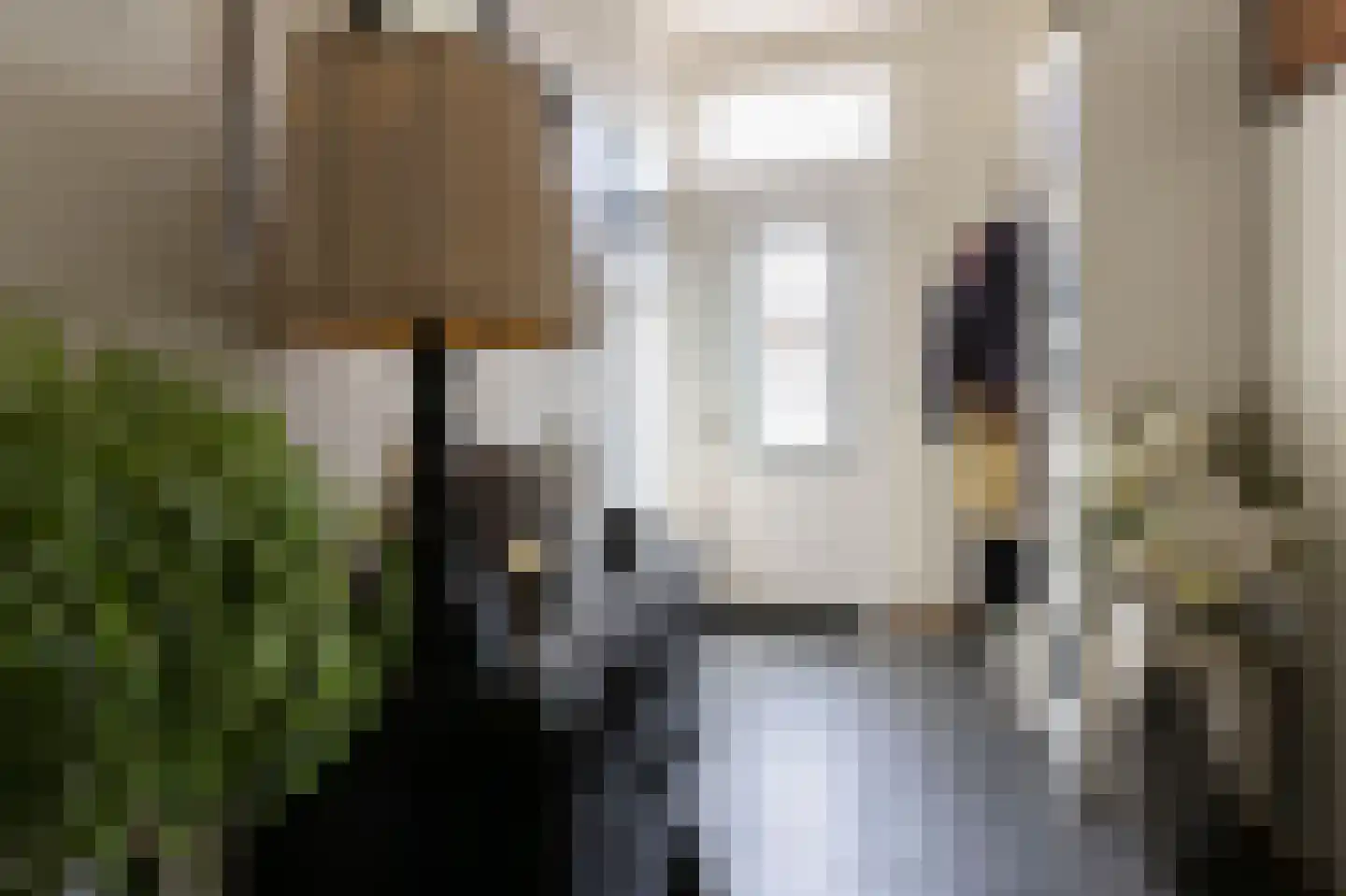 Tungeler Dorpsstraat 41 Weert thumbnail 5