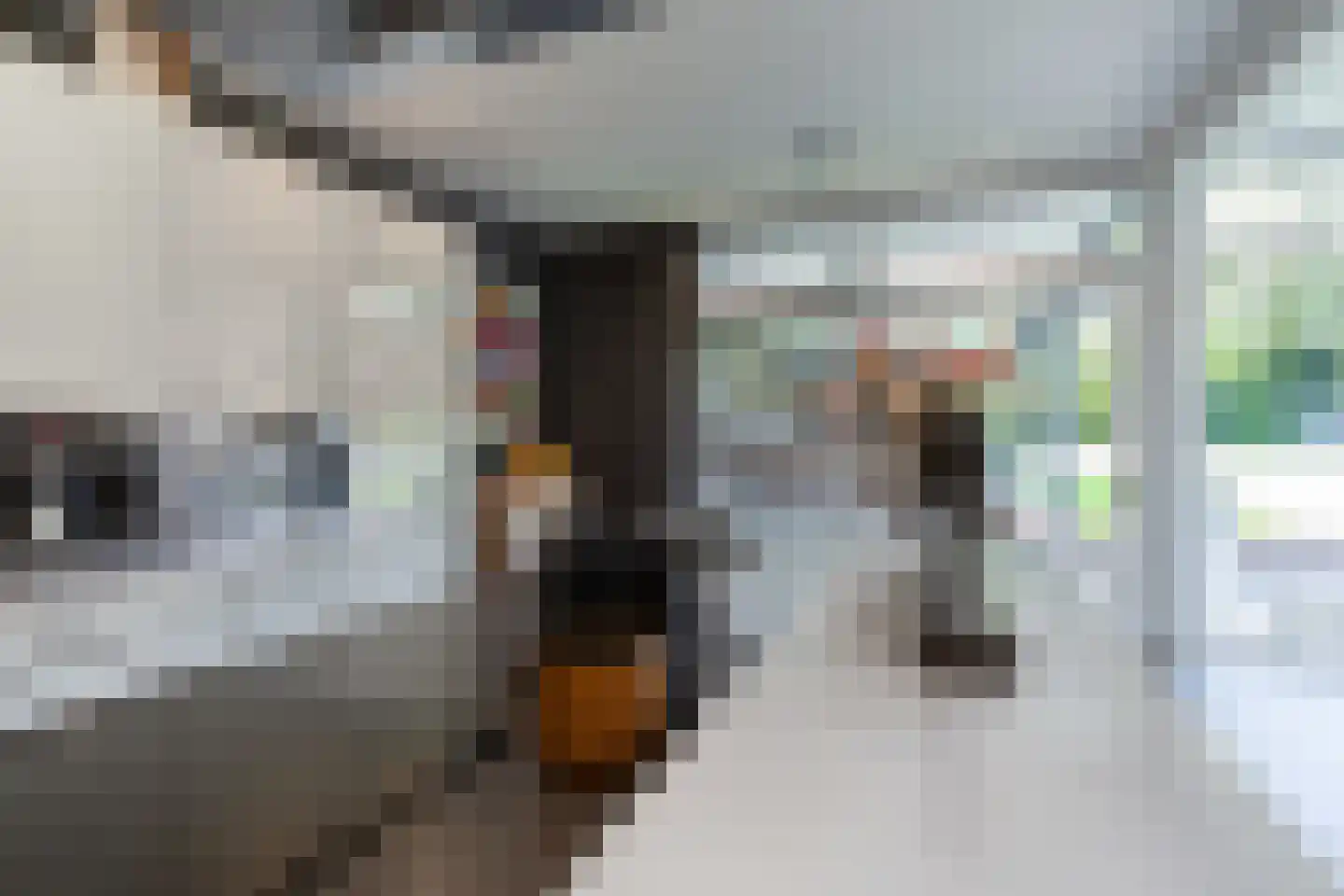 Tungeler Dorpsstraat 43 Weert thumbnail 10