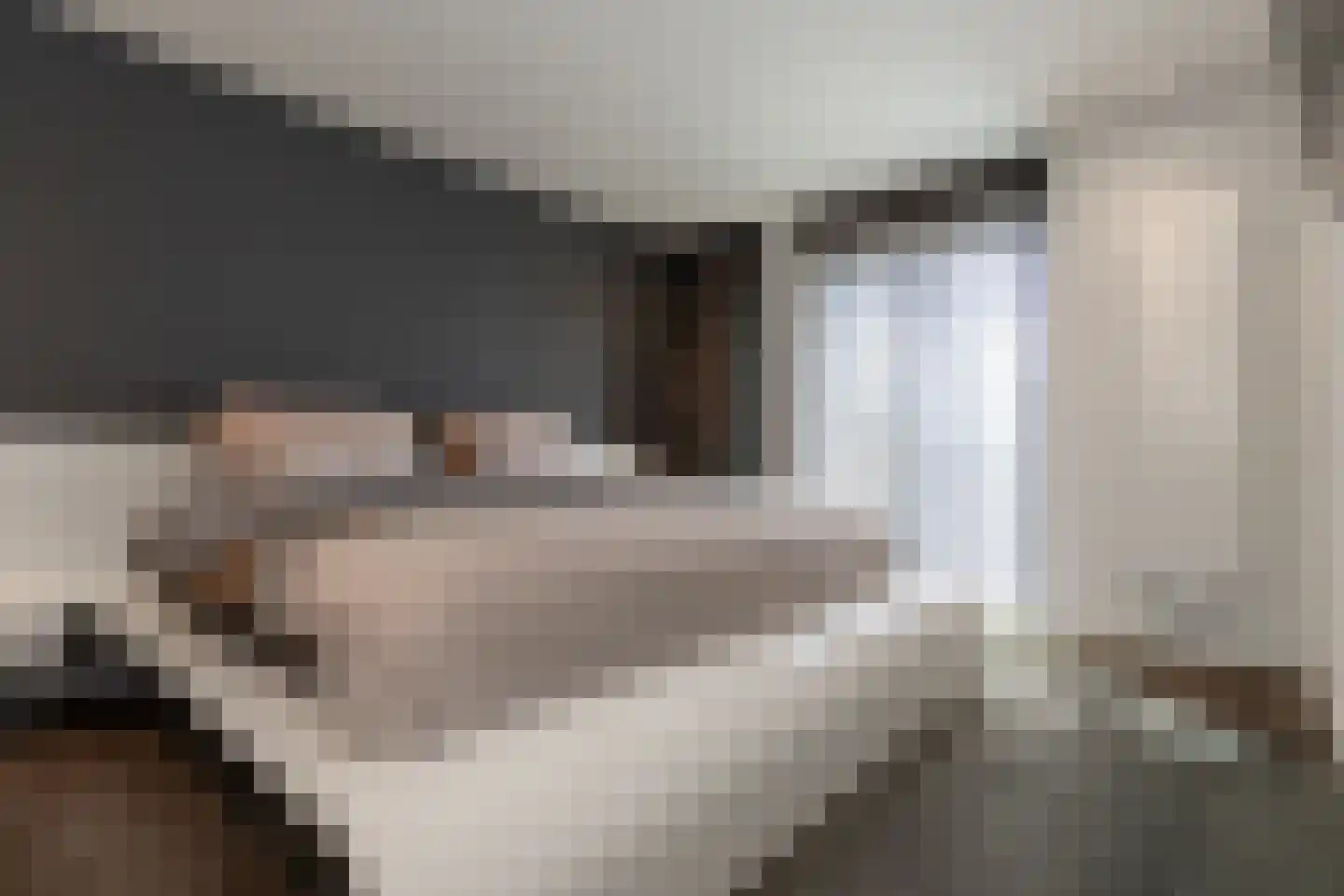 Tungeler Dorpsstraat 43 Weert thumbnail 37