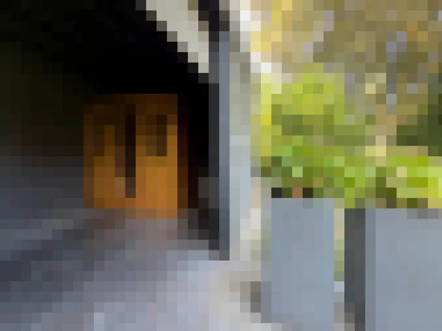 Tungeler Dorpsstraat 43 Weert thumbnail 50