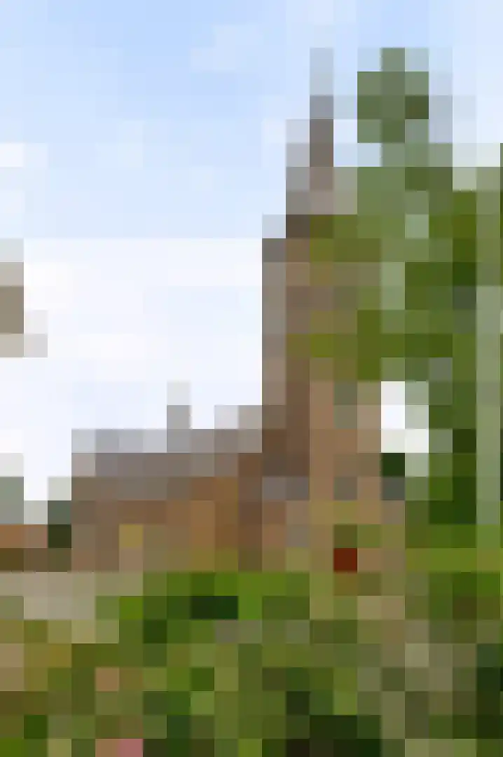 Tungeler Dorpsstraat 51 Weert thumbnail 21