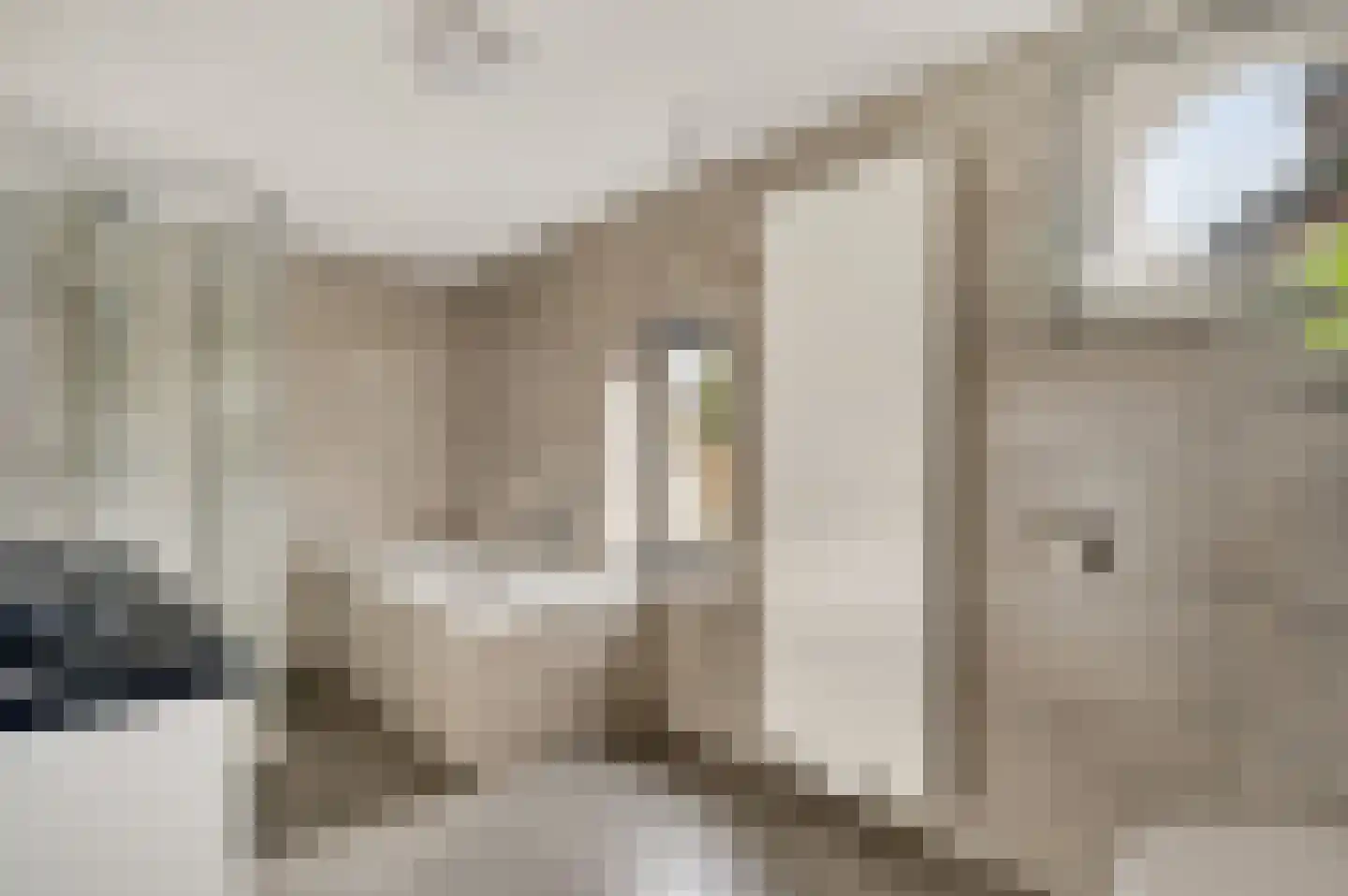 Tungeler Dorpsstraat 51 Weert thumbnail 36