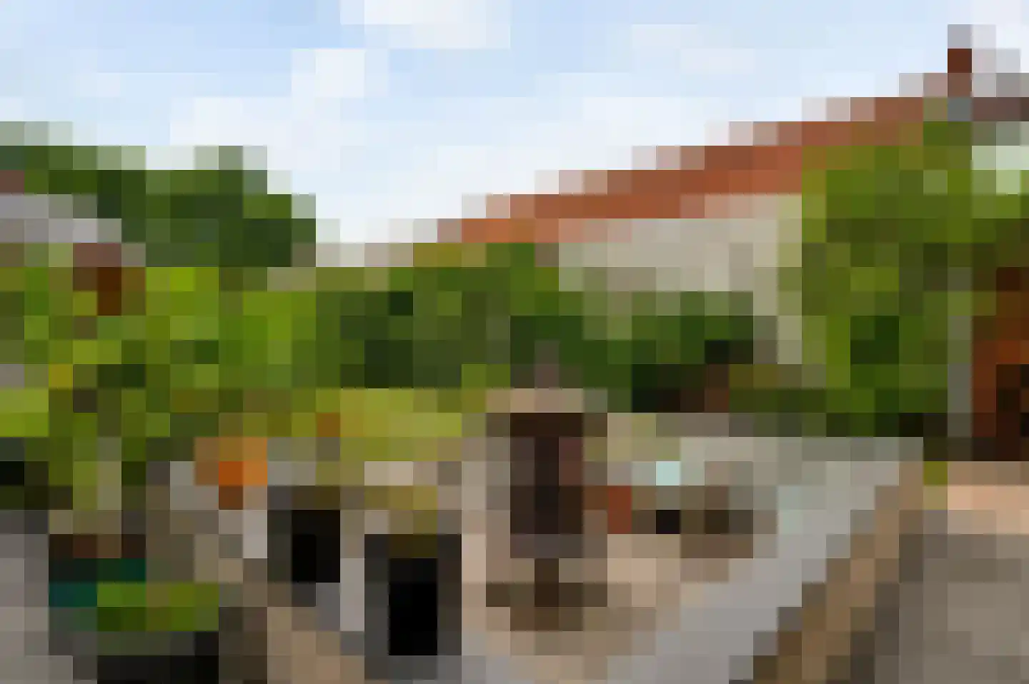 Tungeler Dorpsstraat 51 Weert thumbnail 46