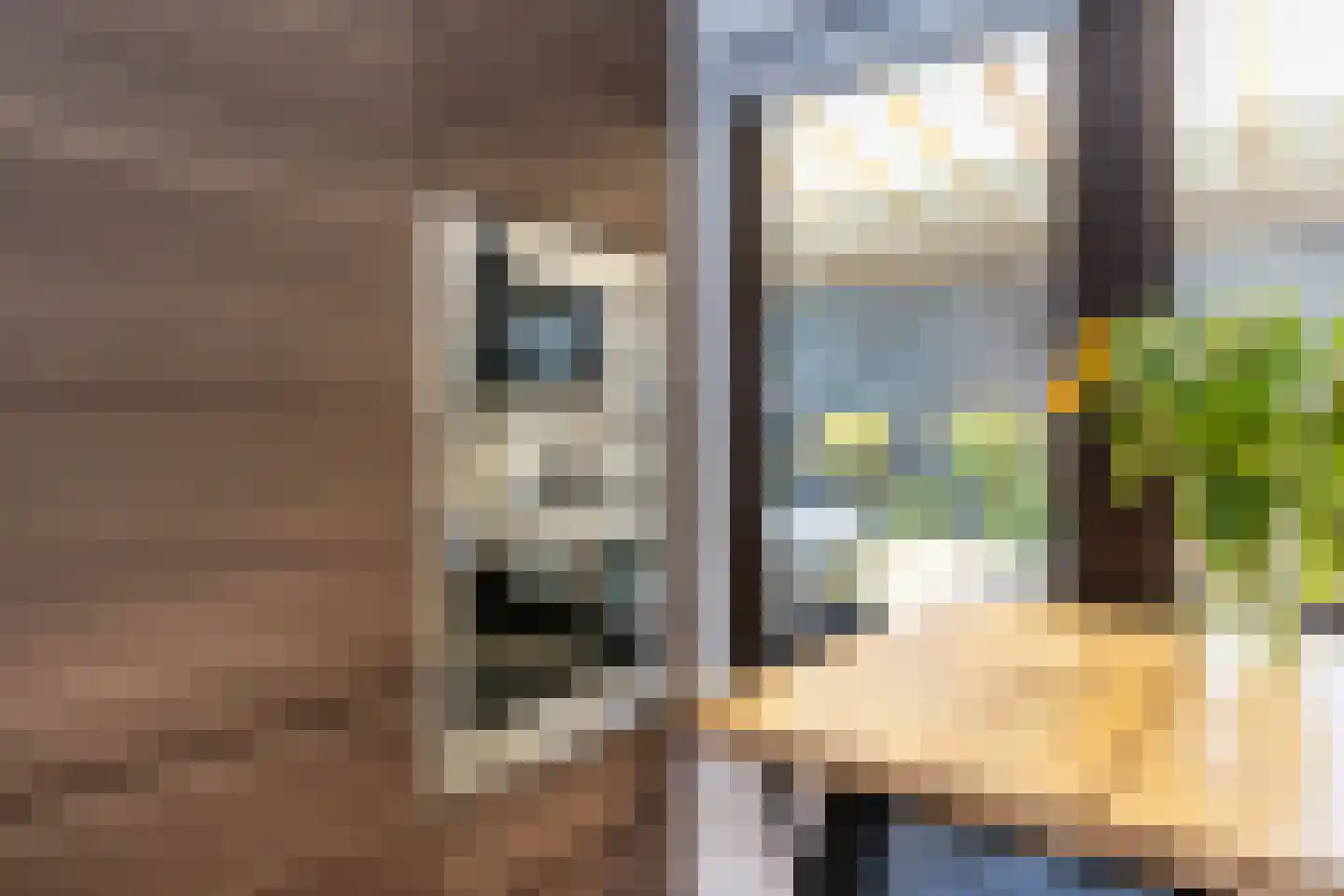 Tungeler Dorpsstraat 70 Weert thumbnail 19