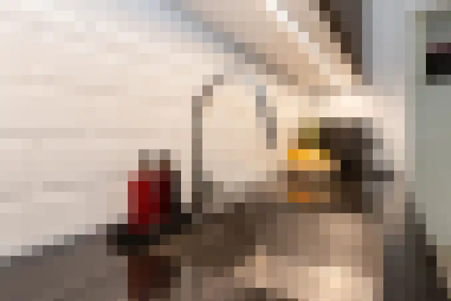 Tungeler Dorpsstraat 70 Weert thumbnail 21