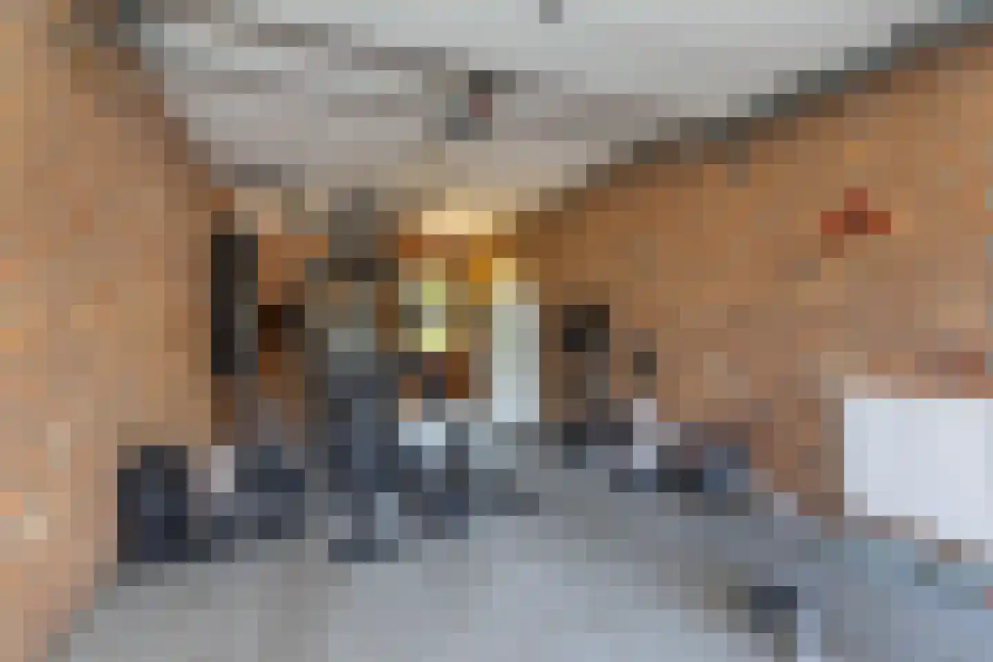 Tungeler Dorpsstraat 70 Weert thumbnail 48