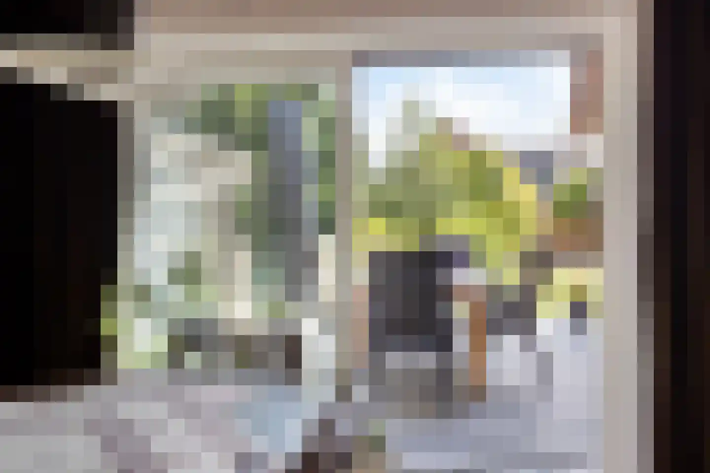 Tungeler Dorpsstraat 76 Weert thumbnail 18