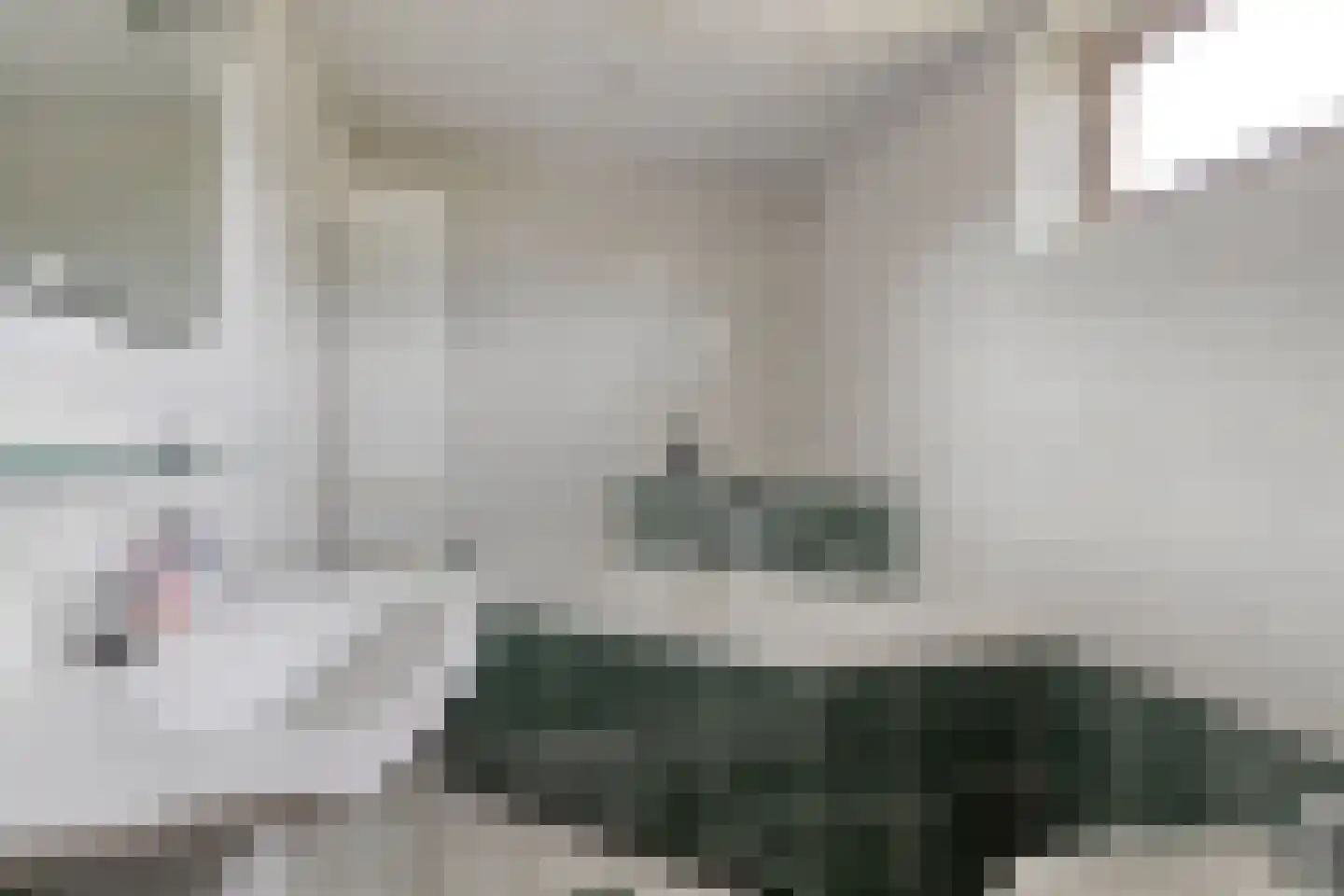 Tungeler Dorpsstraat 76 Weert thumbnail 35