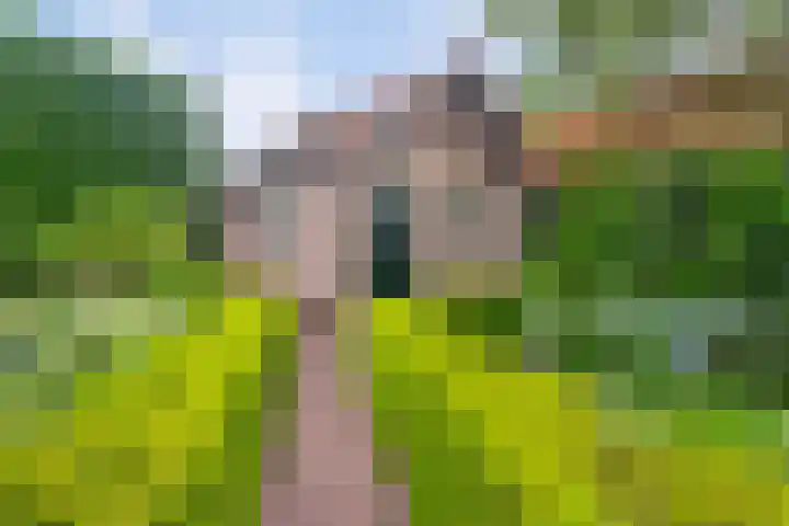 Tungeler Dorpsstraat 8 Weert thumbnail 34
