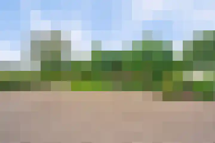 Tungeler Dorpsstraat 8 Weert thumbnail 39