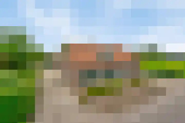 Tungeler Dorpsstraat 8 Weert thumbnail 5