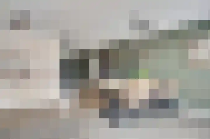 Tungelerschans 11 Weert thumbnail 19