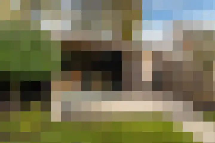Túnikkers 28 Workum thumbnail 20