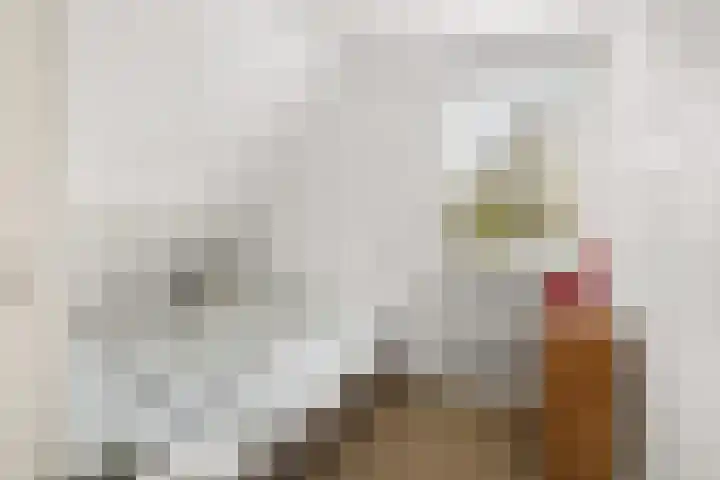 Túnikkers 28 Workum thumbnail 31
