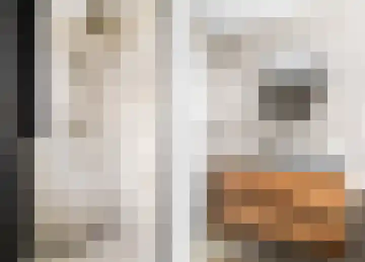 Túnikkers 28 Workum thumbnail 35