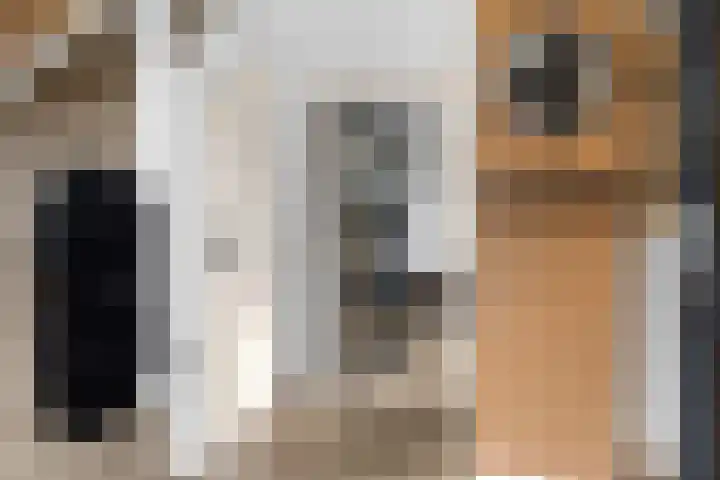 Túnikkers 28 Workum thumbnail 4