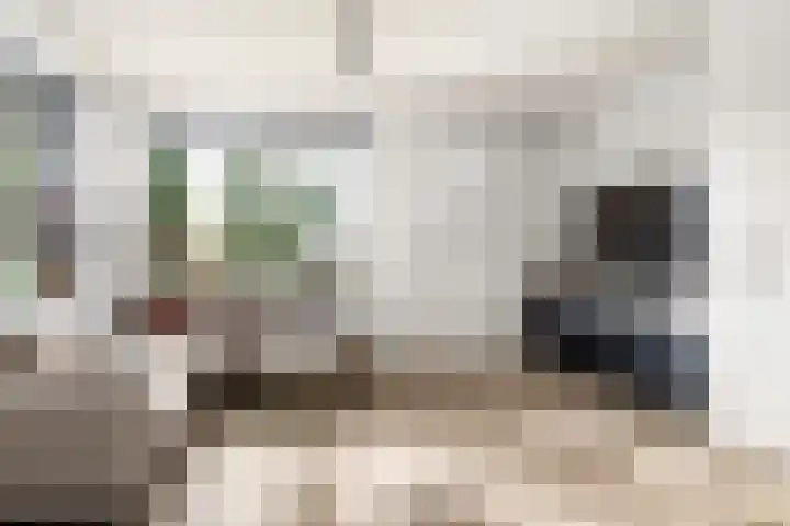 Túnikkers 28 Workum thumbnail 6