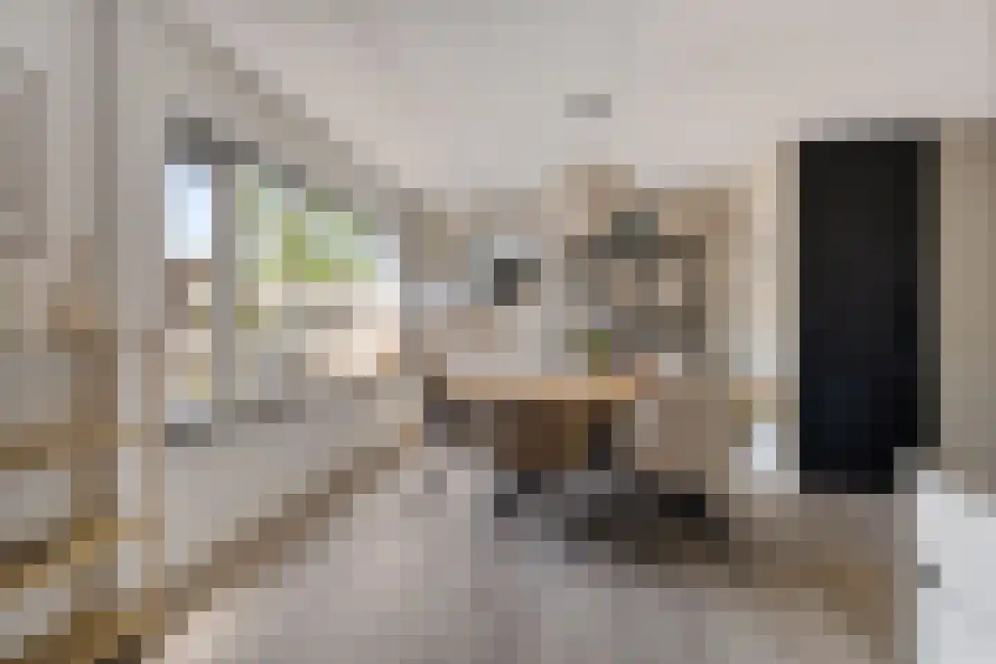Túnkerij 5 Joure thumbnail 13