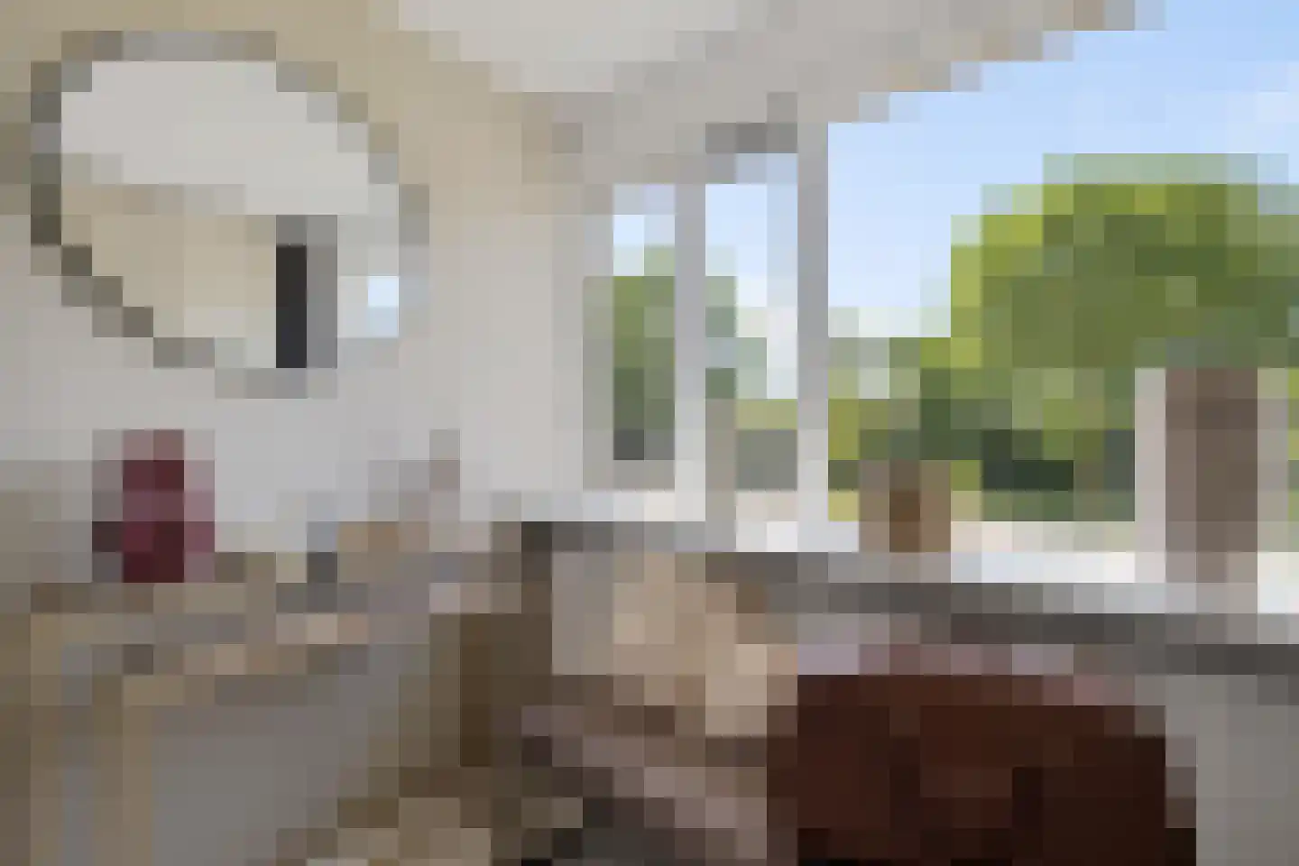 Túnkerij 5 Joure thumbnail 20